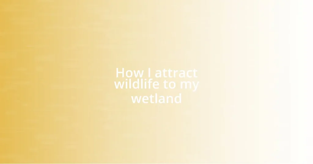 How I attract wildlife to my wetland
