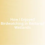 How I Enjoyed Birdwatching in Restored Wetlands