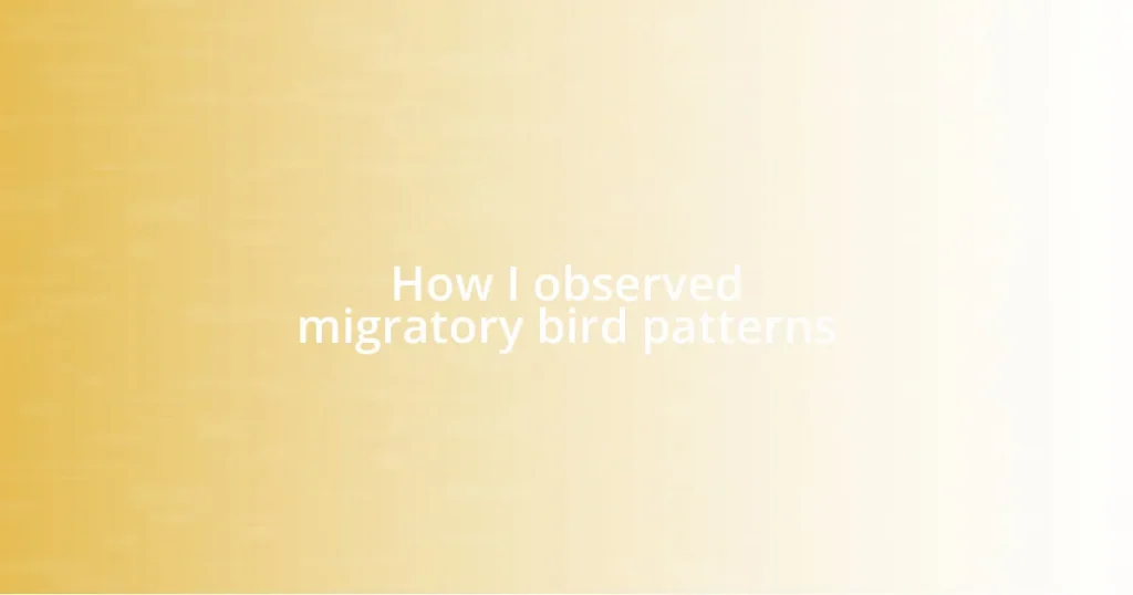 How I observed migratory bird patterns