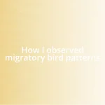 How I observed migratory bird patterns