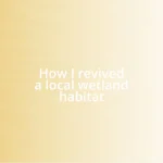 How I revived a local wetland habitat