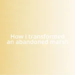 How I transformed an abandoned marsh