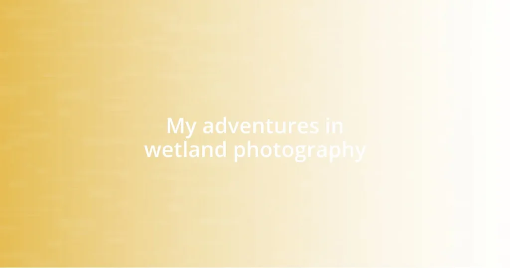 My adventures in wetland photography