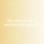 My adventures in wetland photography