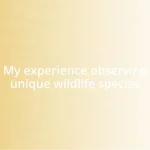 My experience observing unique wildlife species
