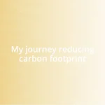 My journey reducing carbon footprint