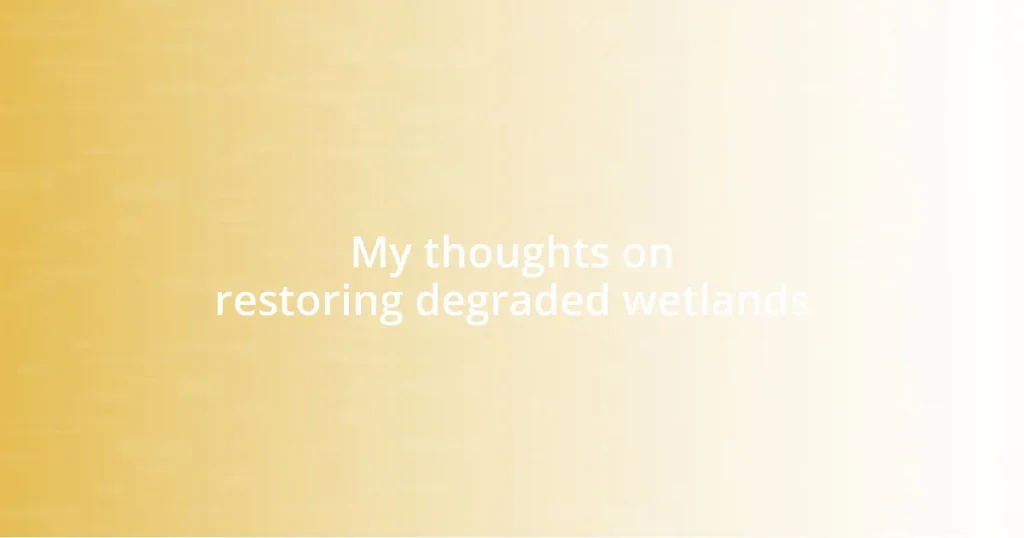 My thoughts on restoring degraded wetlands