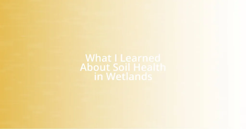 What I Learned About Soil Health in Wetlands