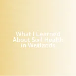 What I Learned About Soil Health in Wetlands