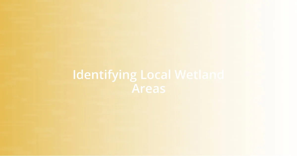Identifying Local Wetland Areas