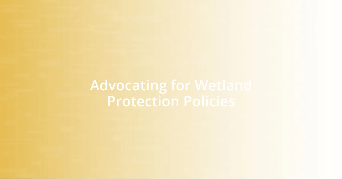 Advocating for Wetland Protection Policies