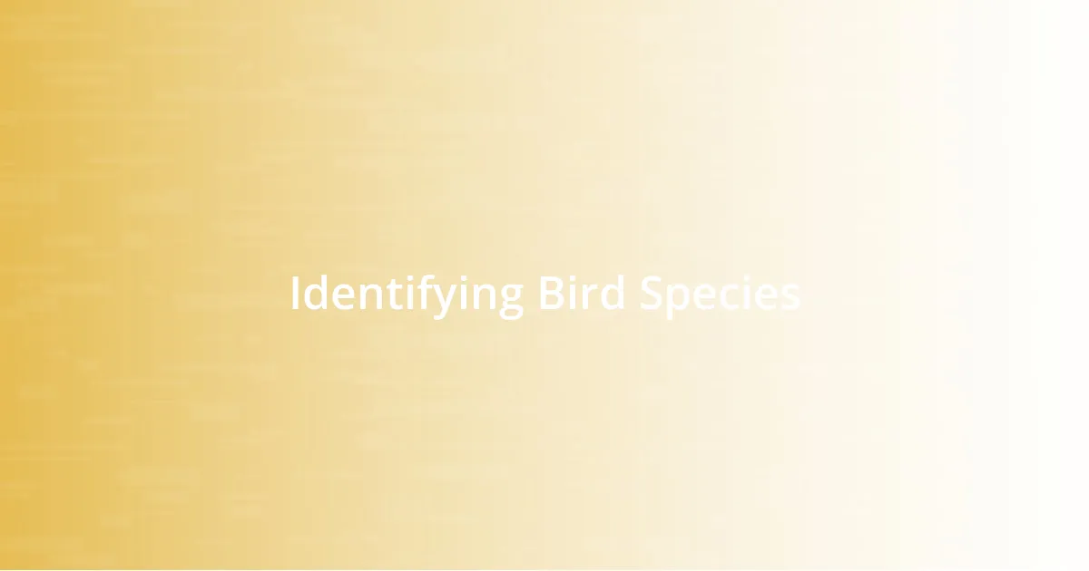 Identifying Bird Species