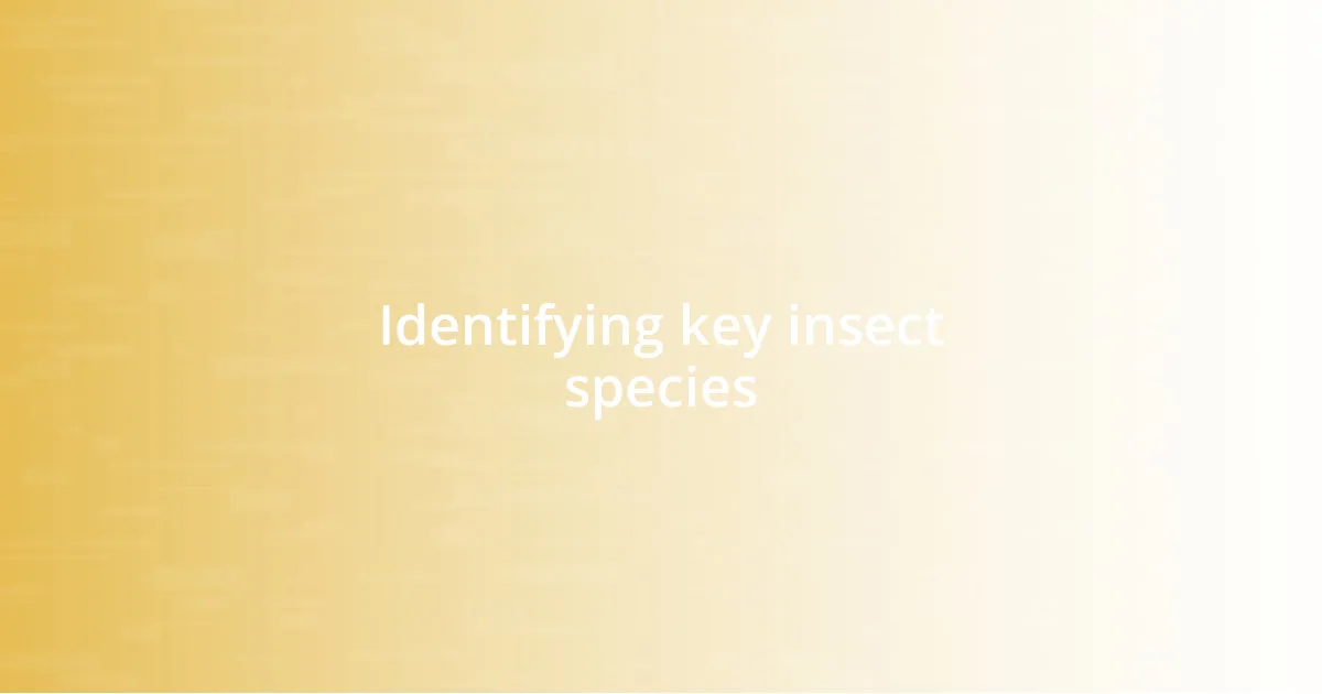 Identifying key insect species