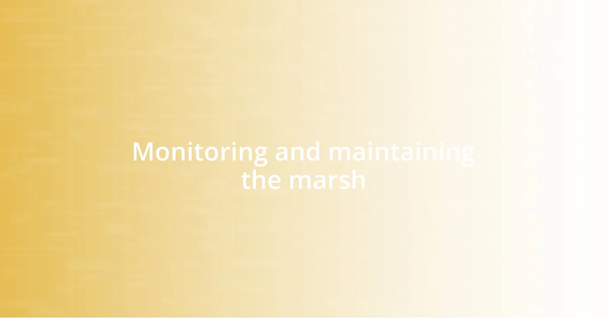 Monitoring and maintaining the marsh