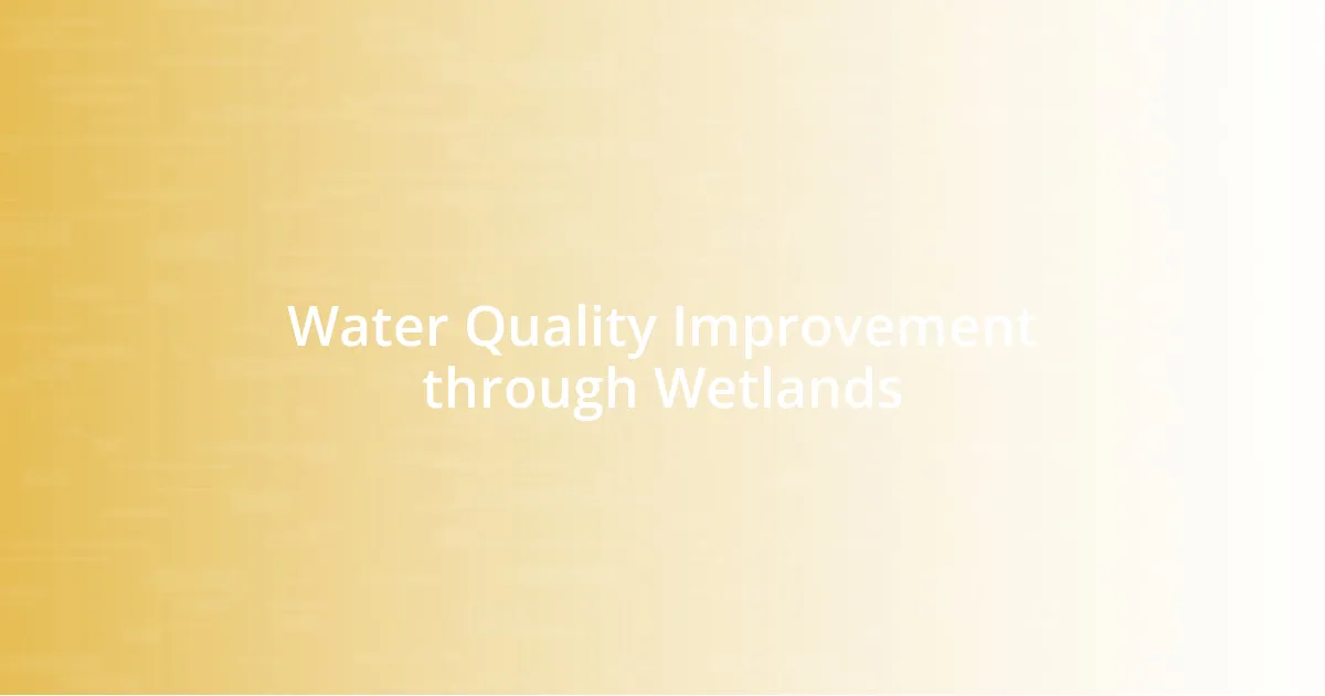 Water Quality Improvement through Wetlands