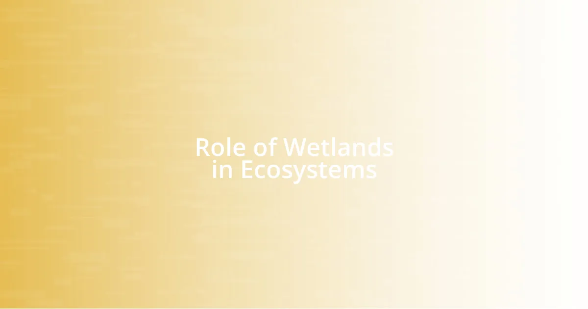 Role of Wetlands in Ecosystems