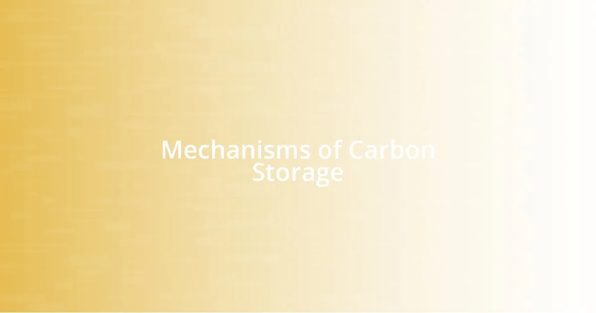 Mechanisms of Carbon Storage