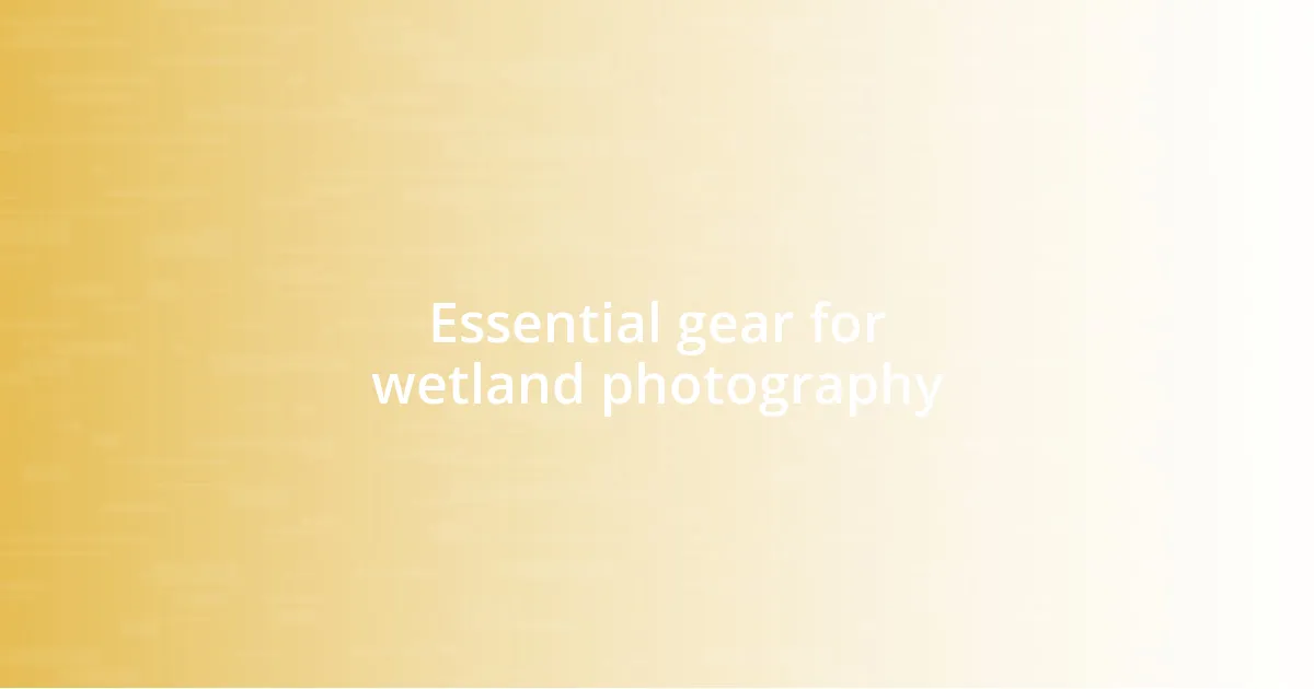 Essential gear for wetland photography