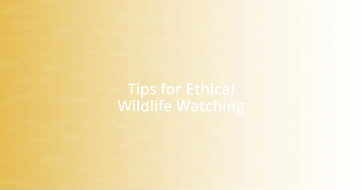 Tips for Ethical Wildlife Watching