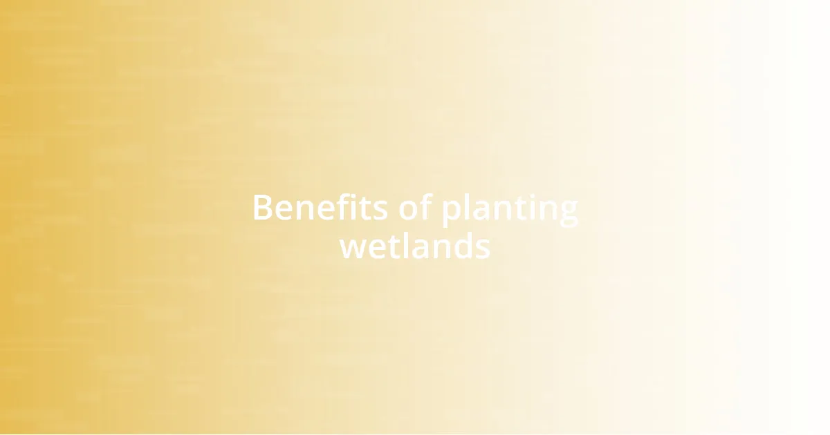 Benefits of planting wetlands