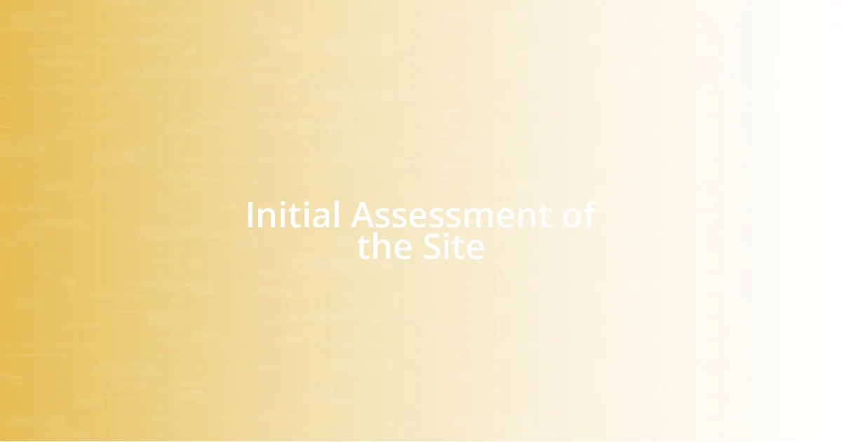 Initial Assessment of the Site