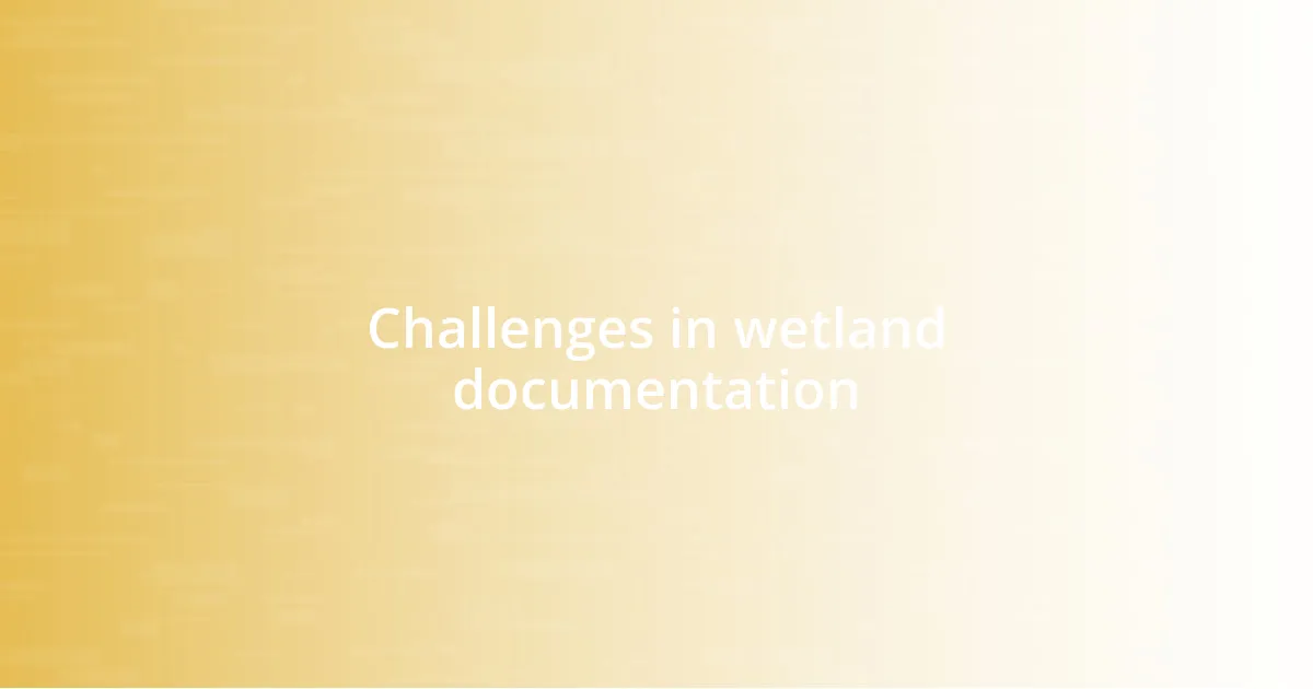 Challenges in wetland documentation