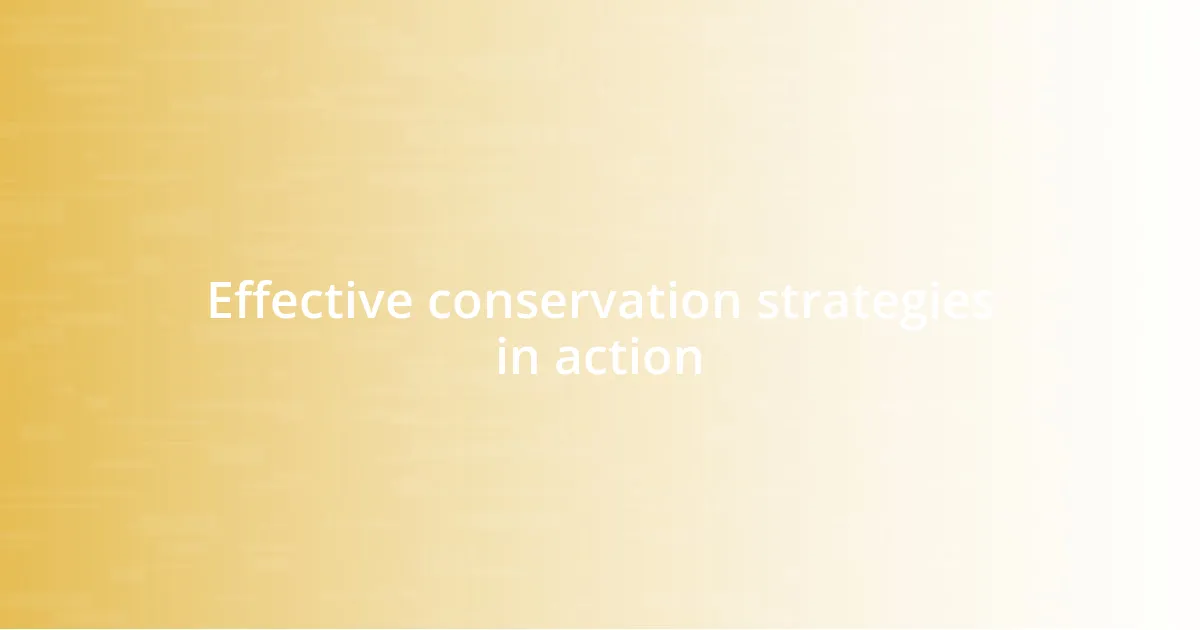 Effective conservation strategies in action