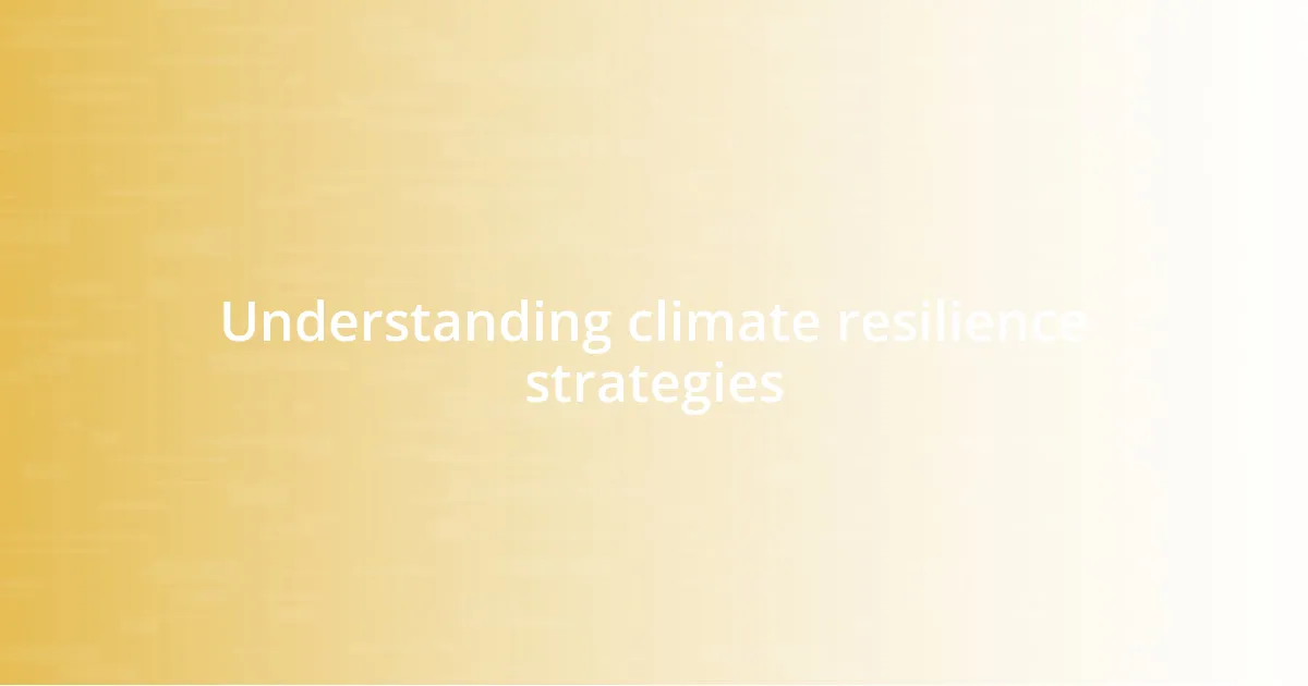 Understanding climate resilience strategies