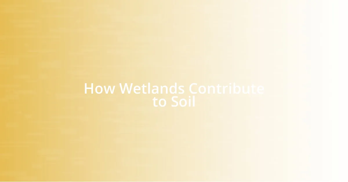 How Wetlands Contribute to Soil