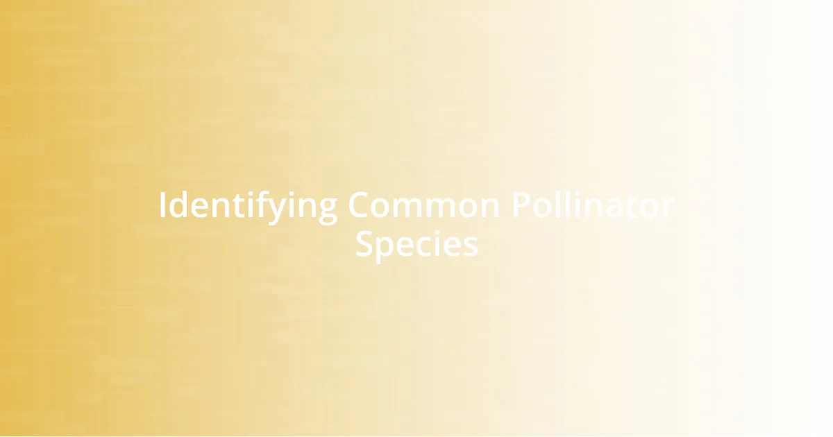 Identifying Common Pollinator Species