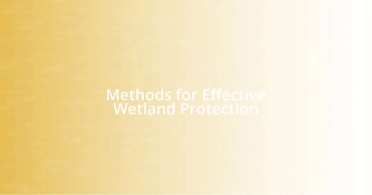 Methods for Effective Wetland Protection